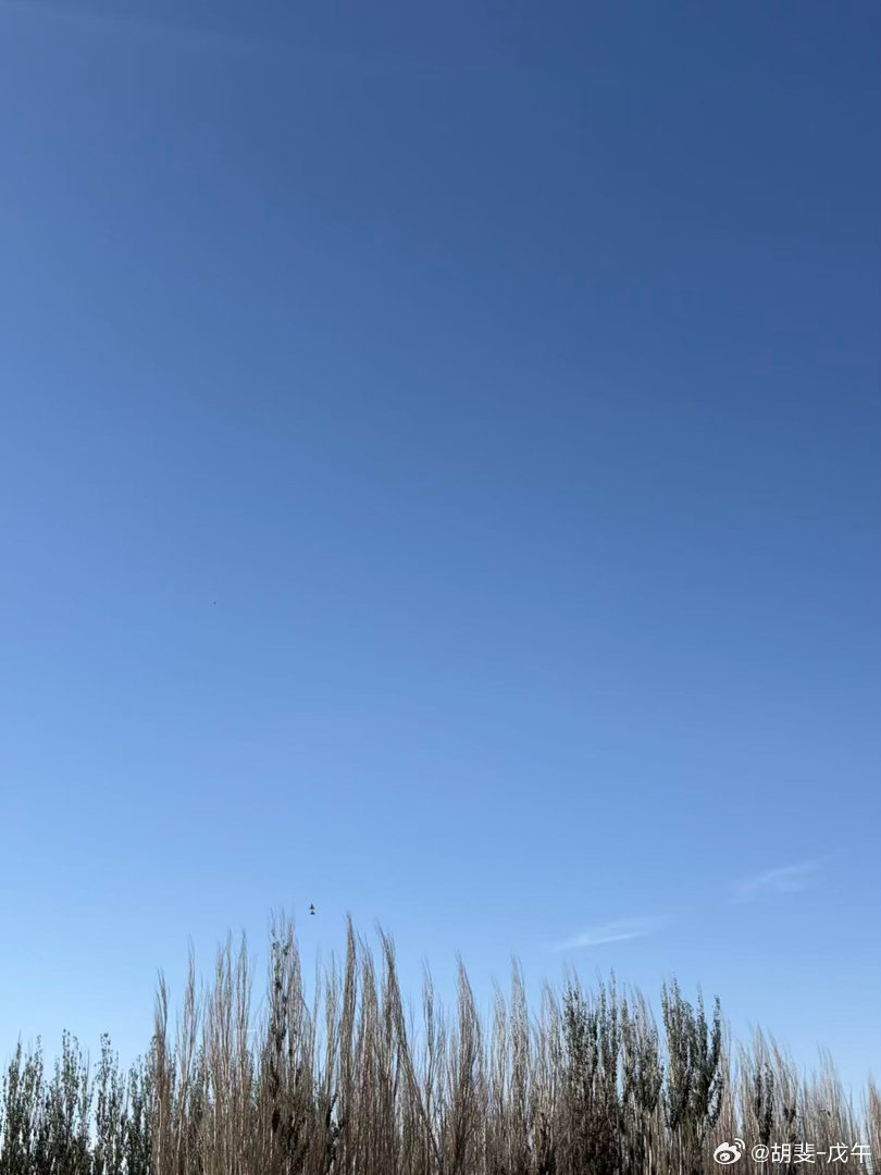 上山就是上山，竹林就是竹林，砍柴就是砍柴，做饭就是做饭，这就是人生，这就是快乐。