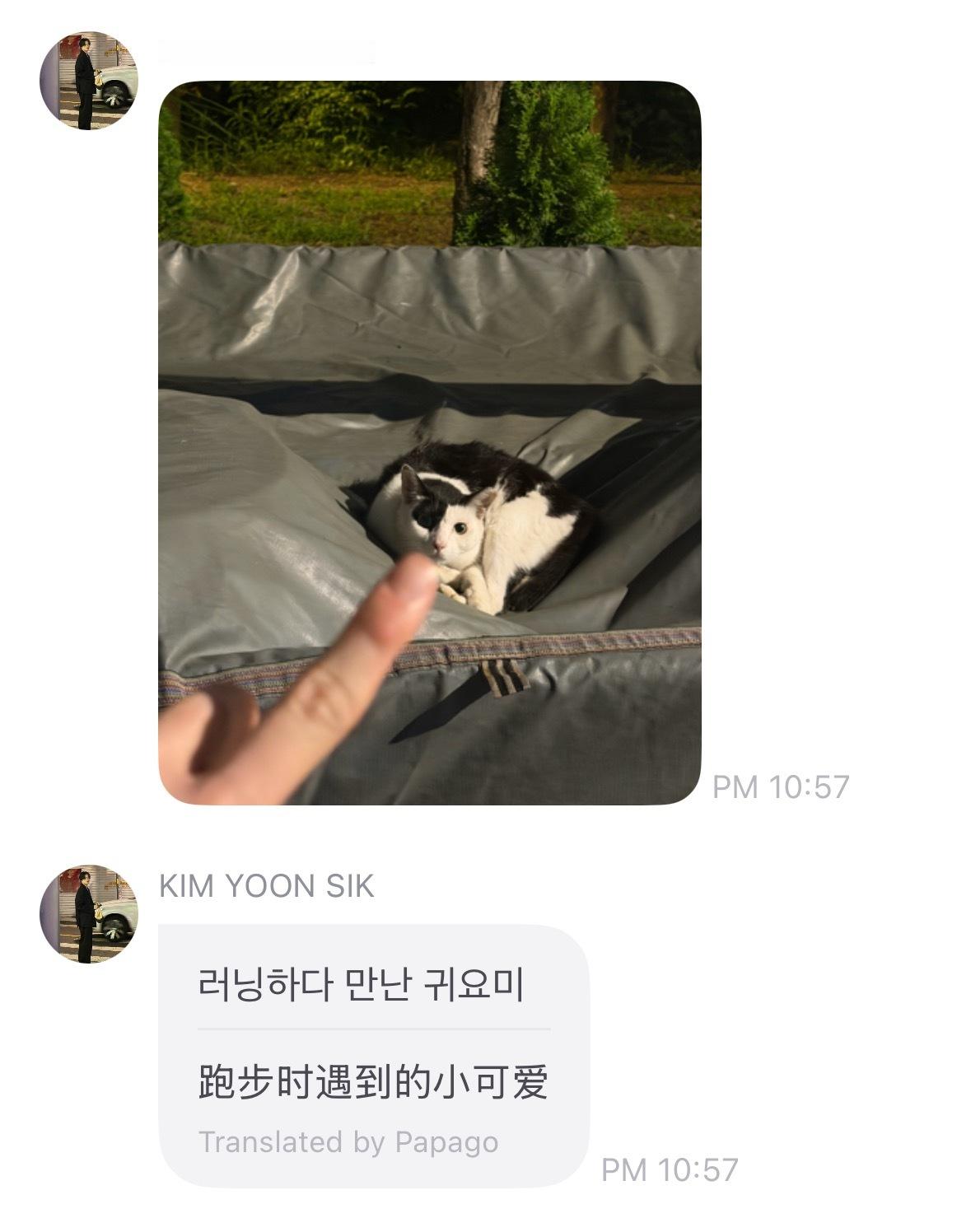 金允植的生活日常太健康太多萌物了 看多了有点很难跟看文里那个X癖很脏的人关联上了