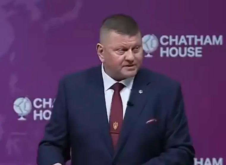 扎卢日内一直是泽连斯基最大的竞争对手，乌克兰国内很多民众都支持扎卢日内成为乌克兰