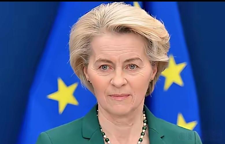 美国幕后操盘！
欧盟沦为棋子，对华科技围堵全面升级。
 
2月21日香港《南华早