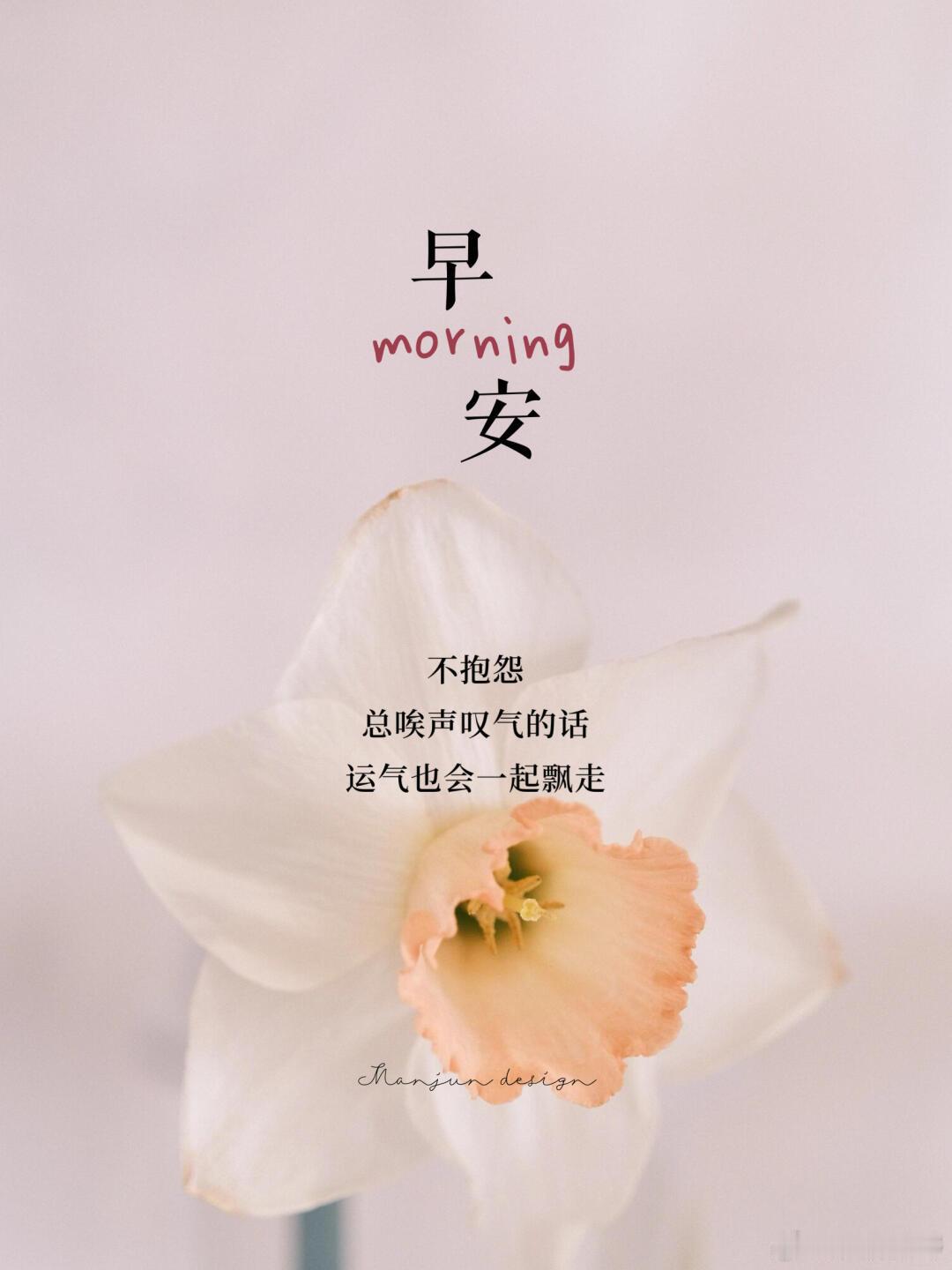 早上好，宝们！点赞打卡养成金粉体质新的一天，新的起航，评论区见真章！ 