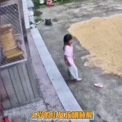广东河源，一户农村家庭的大人将收割好的稻谷平铺在自家院坝晾晒后，便下地干农活，家