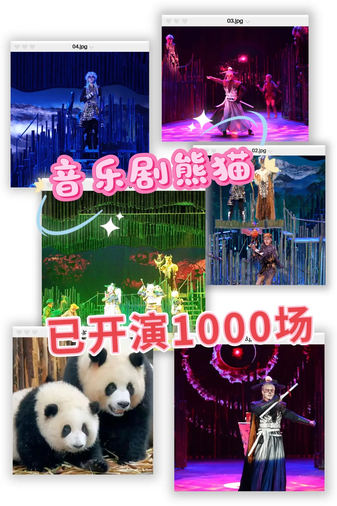 3月女神节不知道去哪~《熊猫》安排~