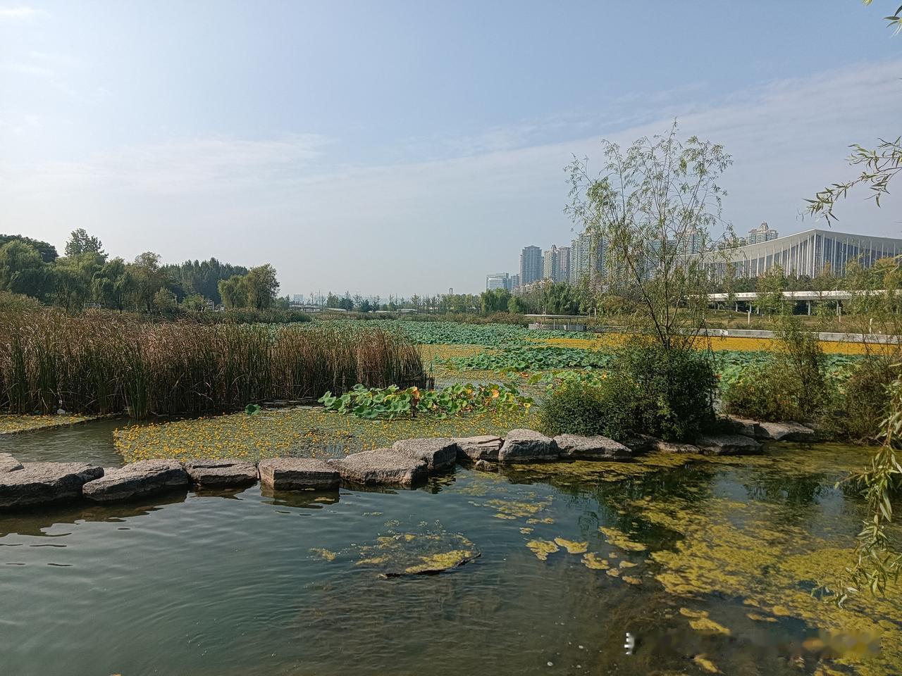 今天周五，天气状况时阴时晴，中午的时候还下了短暂的小雨！下午我去了香湖湾地铁站旁