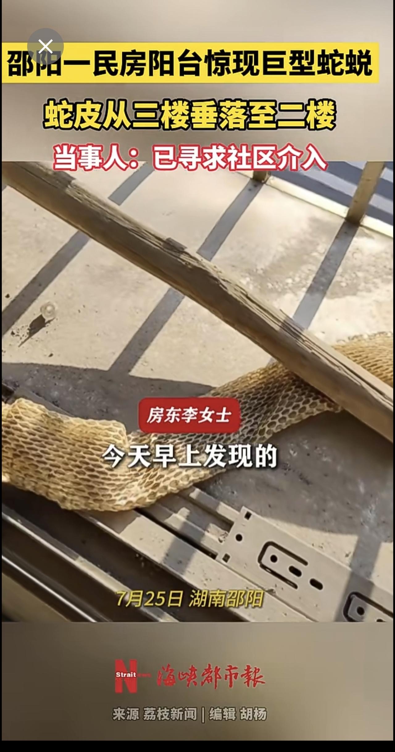邵阳一民房阳台惊现巨型蛇蜕，蛇皮从三楼垂落至二楼，当事人：已寻求社区介入。