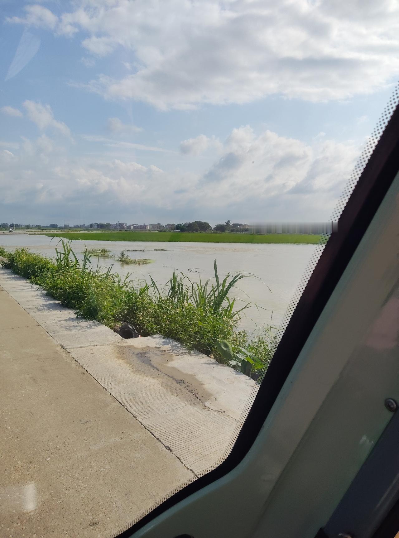坐在车🚗窗边望向窗外，河水缓缓流淌，岸边草木肆意生长，远处田野铺展成温柔的绿，