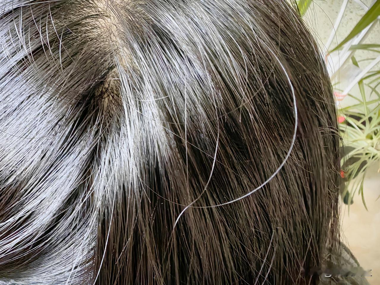 集卡点灯领现金我正在参加集卡点灯分20万春节活动。集卡点亮灯笼，可获得现金奖励，