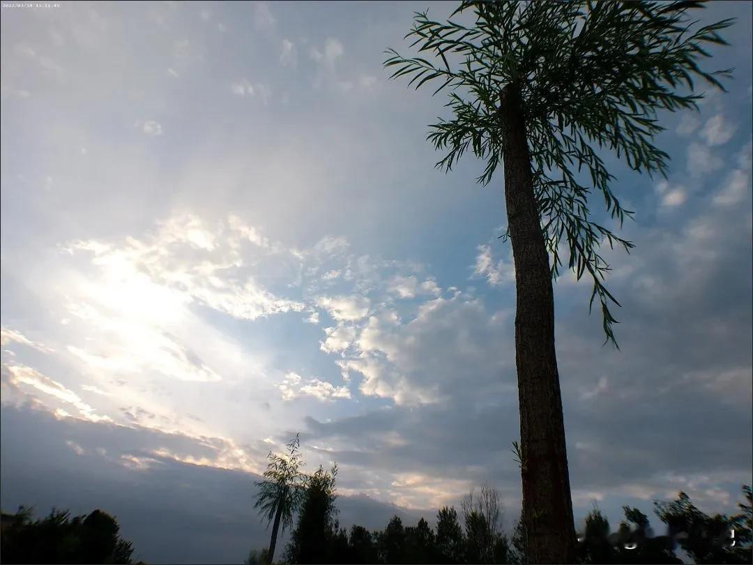 奉劝现在的年轻人不要随便去纹纹身，不然以后你连工作可能找不到。

今天去面试了一