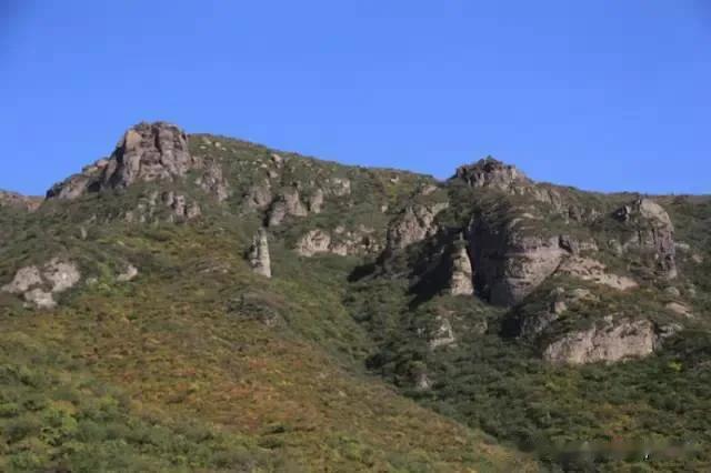 北京门头沟的“妙峰山玫瑰能因为暴雨全毁了，您知道吗~。门头沟昨天降雨80毫米，今