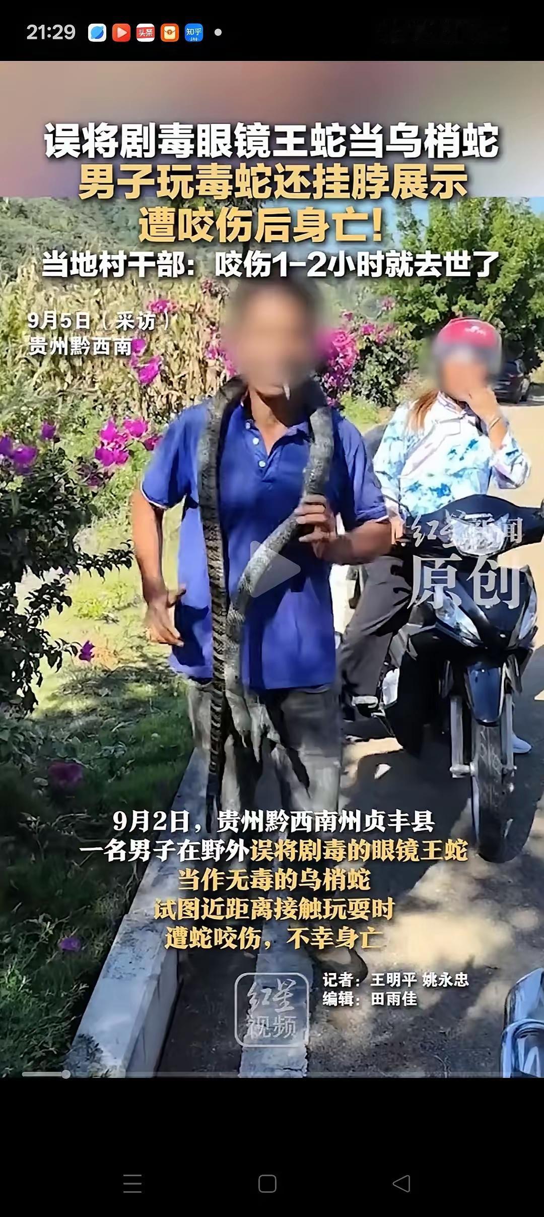是蛇三分毒，见蛇绕道走。我们普通人见了蛇，大都是头皮发麻，汗毛倒竖，更别说抓来玩