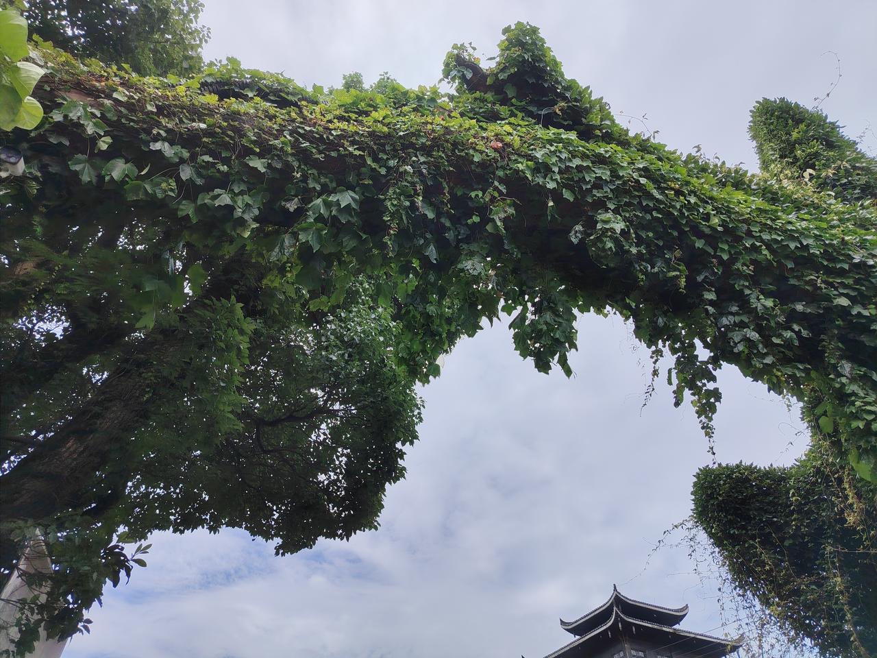 难过的时候，你最想做什么难过时，不妨给自己一个拥抱，或去拥抱自然。正如苏轼遭贬仍