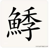 鳜鱼，用南通各地方言怎么说？如皋话一般用（鱼季）这个字，读“季”，季花鱼就指的是