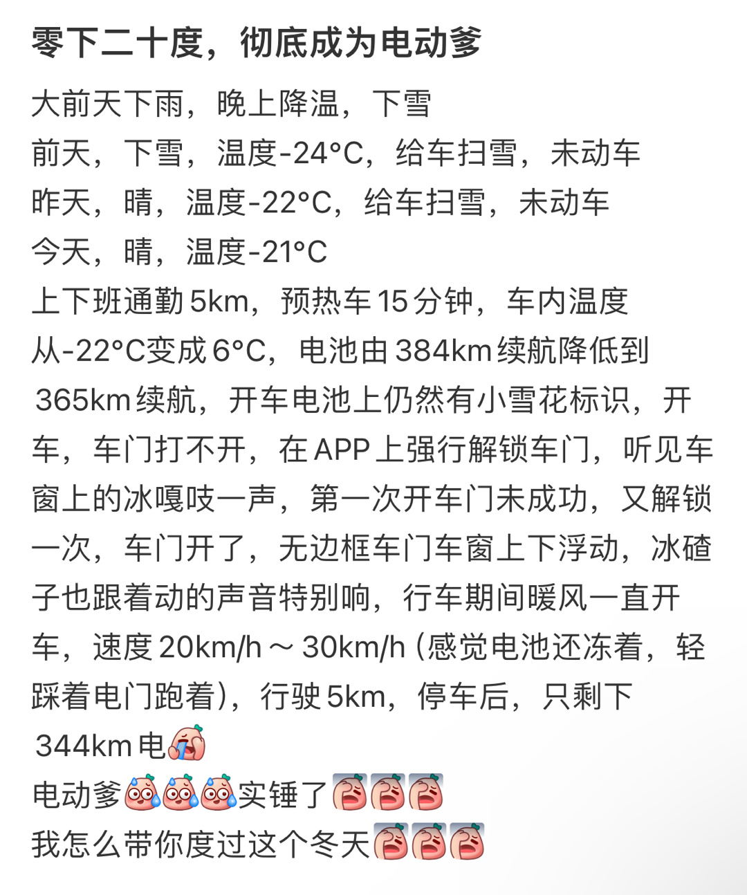 零下二十度，彻底成为电动爹 ​​​