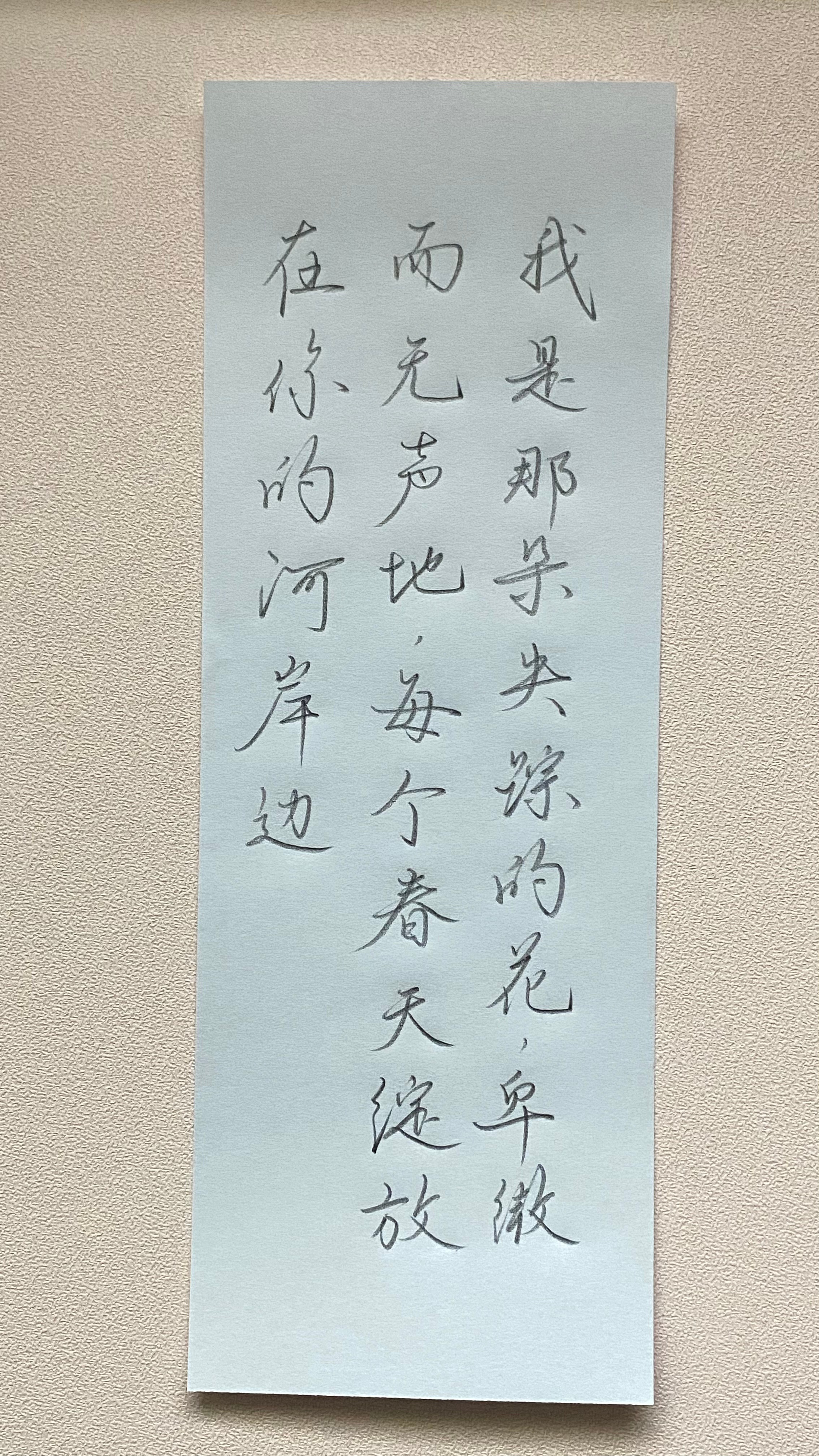 今日作业（2025.3.3）我是那朵失踪的花，卑微而无声地，每个春天绽放在你的河