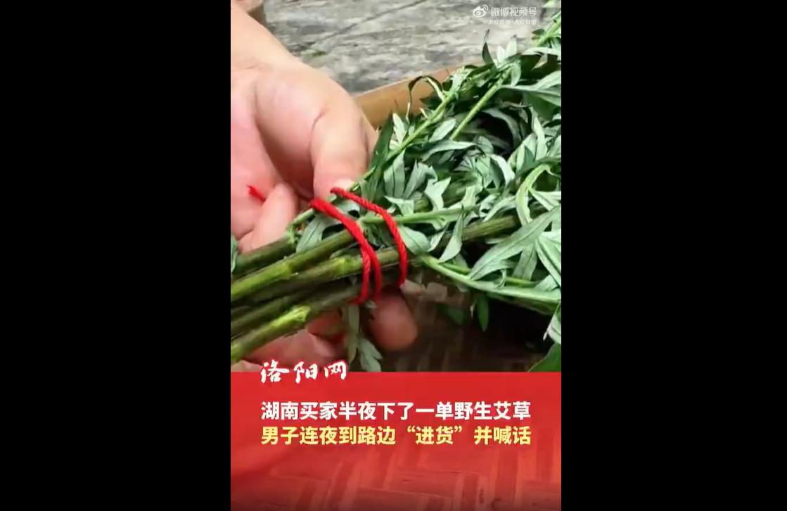 6月15日，山东一名电商卖家深夜接到湖南买家的艾草订单后，立刻带着镰刀到路边现割
