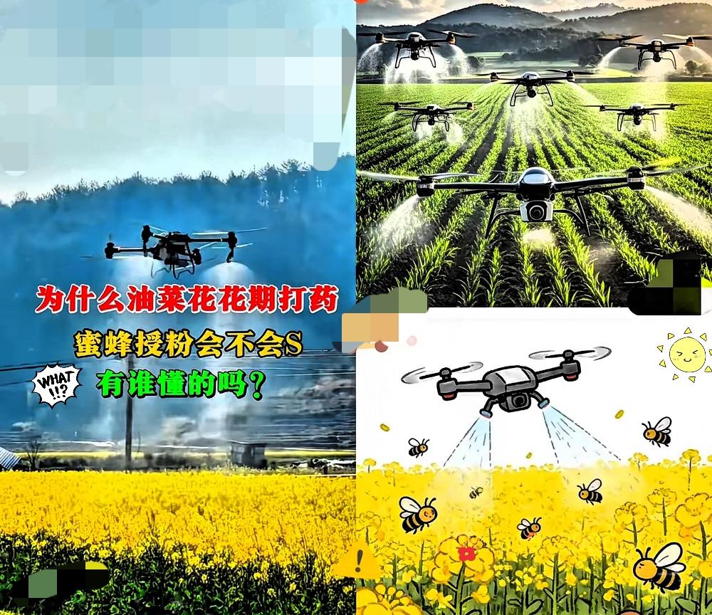 太气人！
花期乱喷农药毒死蜜蜂，
这次必须严查到底！

真的越看越生气！
官方终