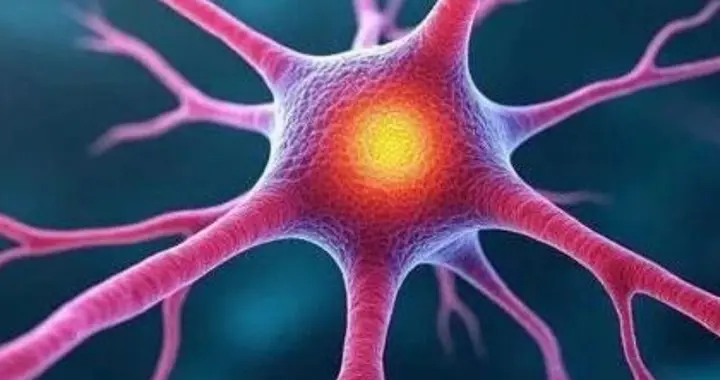 神经流模型 NeuroFlow 打通视觉与神经的双向通道