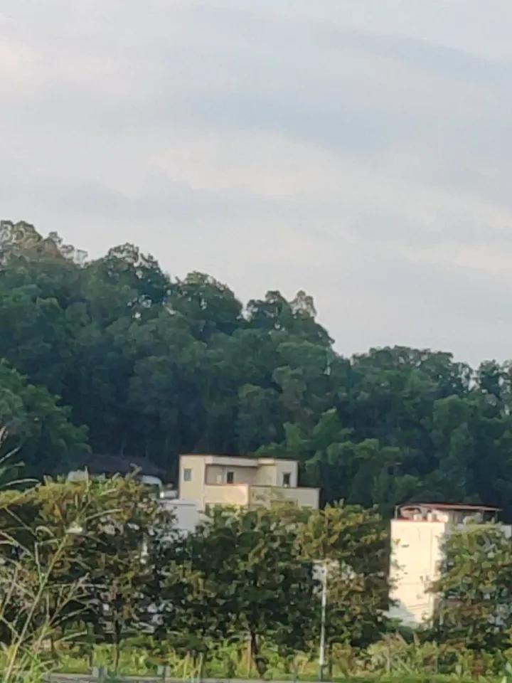随手拍乡下自然风景，那简直是一场视觉盛宴！
盛夏七月，祁连山脚下的古浪县古丰镇就