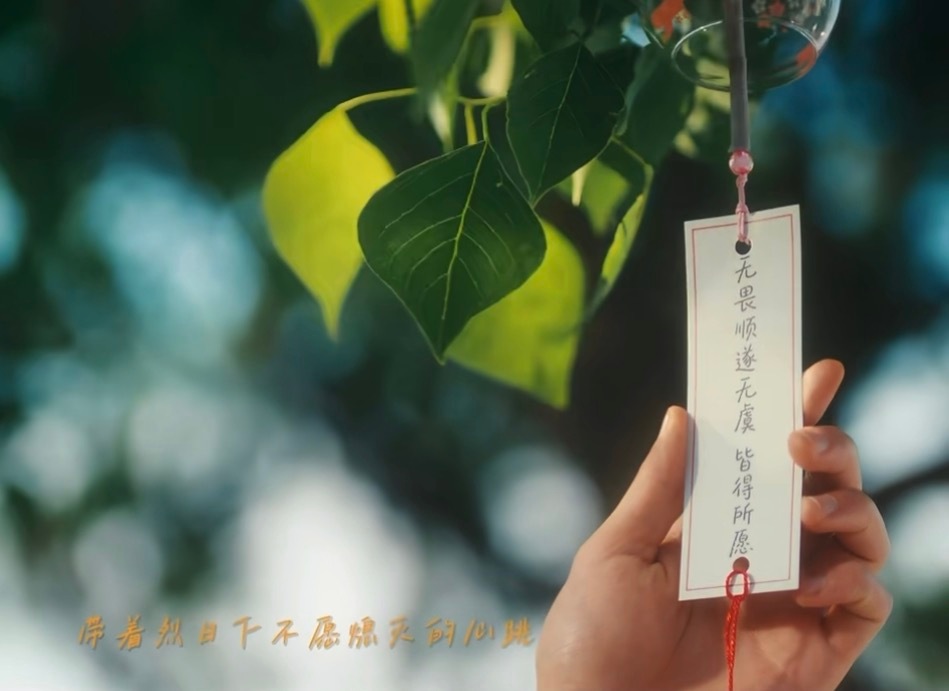 无畏顺遂无虞 皆得所愿🤲🏻 