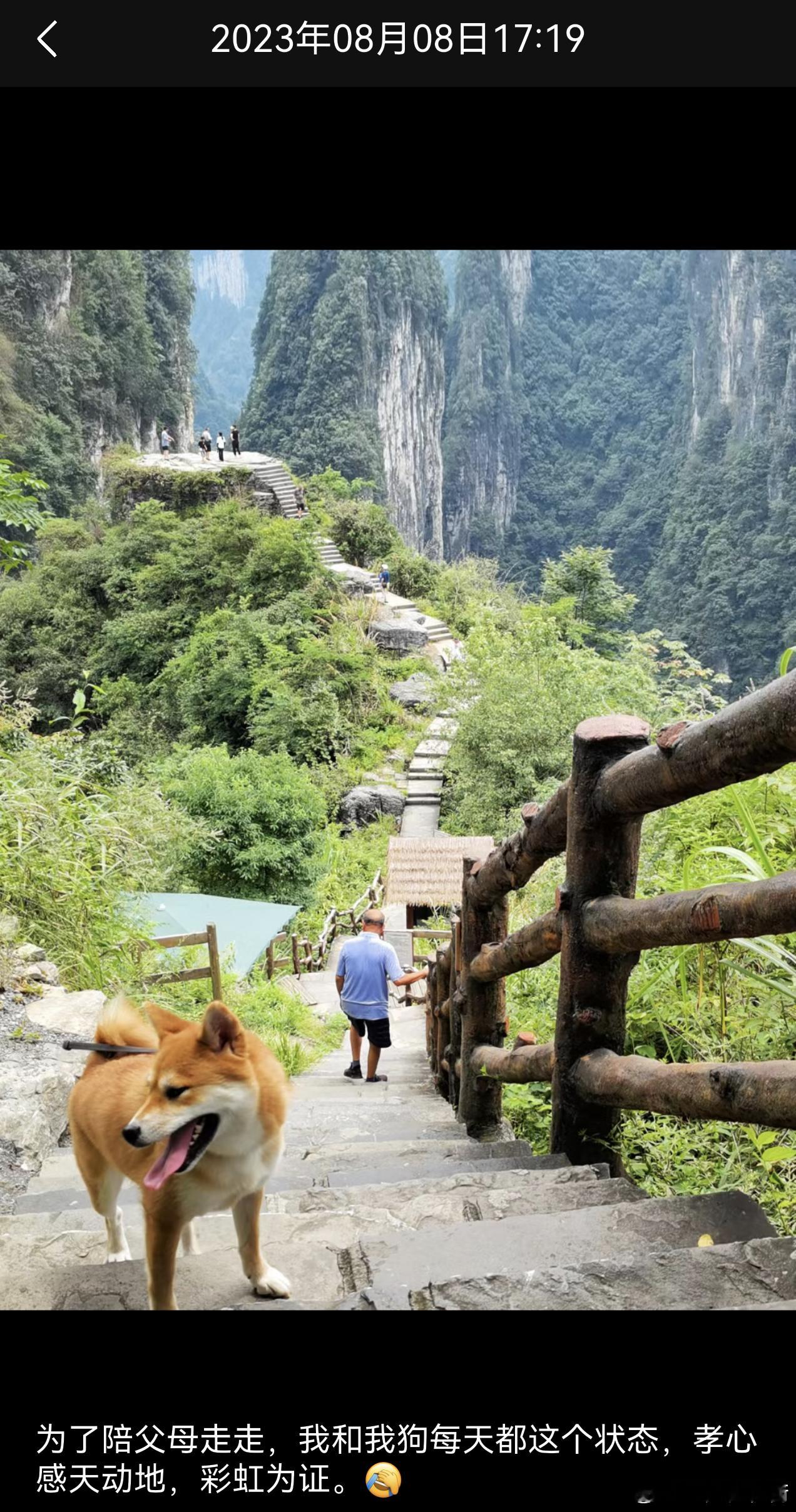 看到这张照片，心底又如挨一记闷捶，狠狠地痛。我给爸爸拍照太少了，他说不爱拍，我也