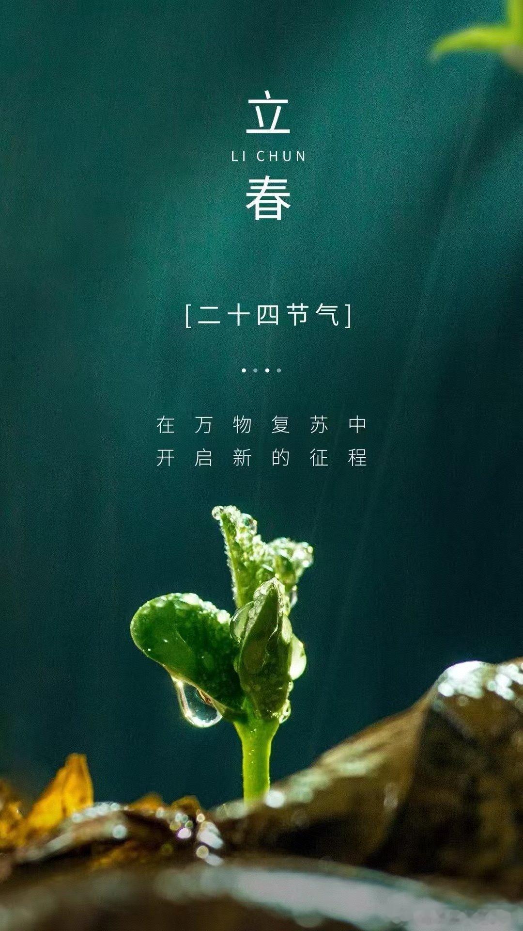 立春  万物复苏的季节  