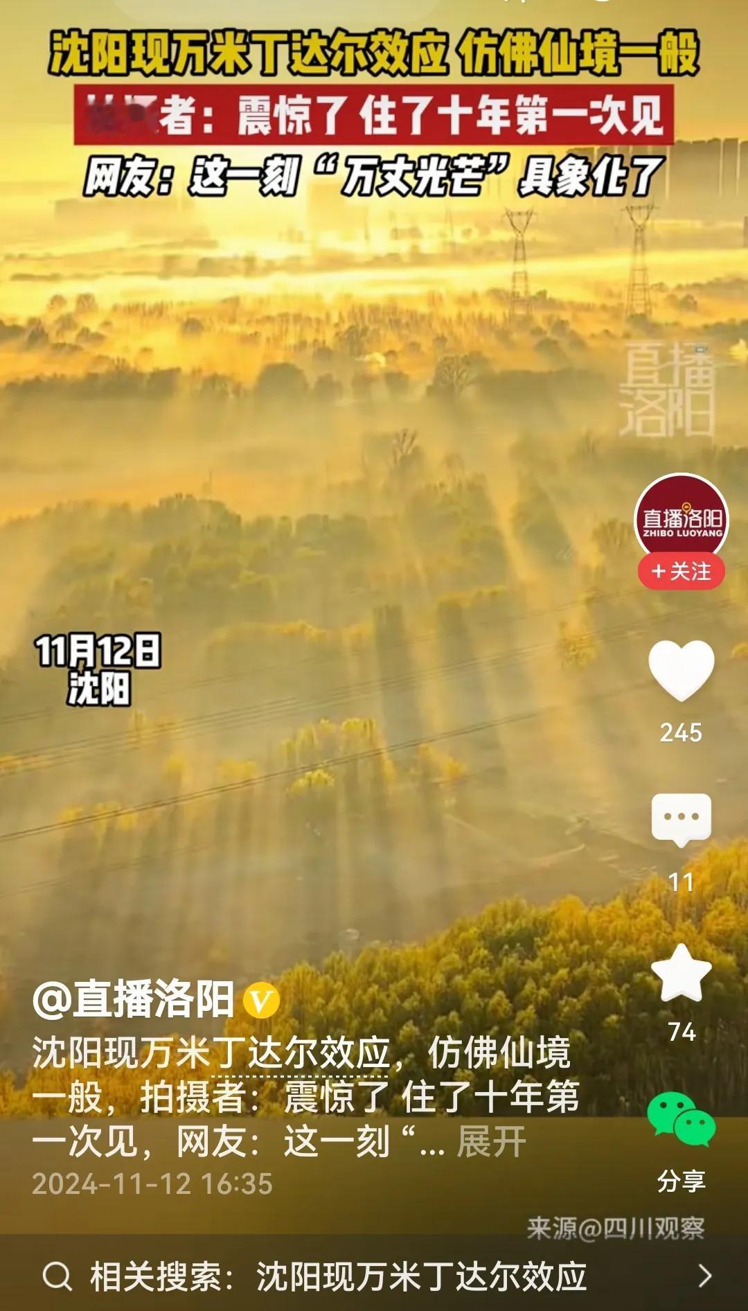 #沈阳现万米丁达尔效应#
正所谓：
忽见霞光在漫延，
金光万道撒满天。
千树万树