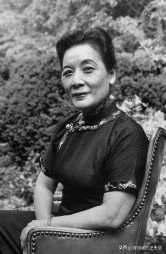 肥鹅觉得宋美龄应该让杀人犯赵晓红来演是最合适的，这样选角才符合导演口中的“不用再