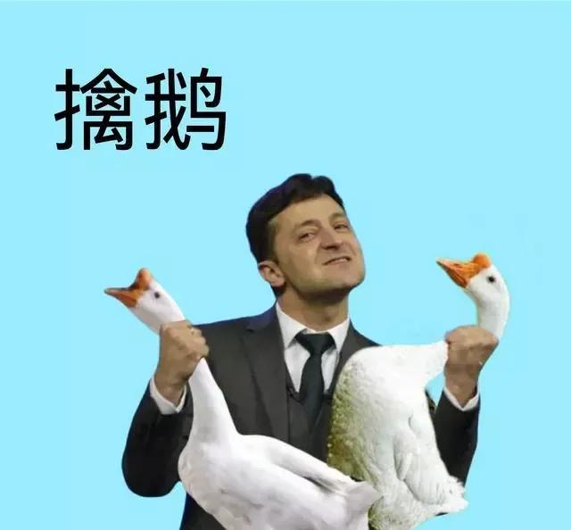 司机双手抓着两只大鹅的脖子，一只是玻尿酸大鹅，一只是没德韦捷夫大鹅，这两只大鹅乃