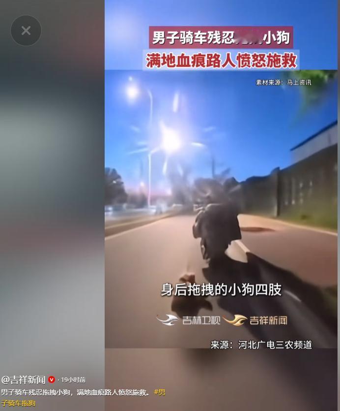 “实在太没有人性了！”5 月 7 日曝出一幕，有大叔因为搬家不想养狗，竟狠心骑车