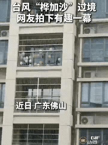 “人怎么可以这么聪明！”广东佛山，超强台风“桦加沙”正肆虐，狂风暴雨让街道变得人