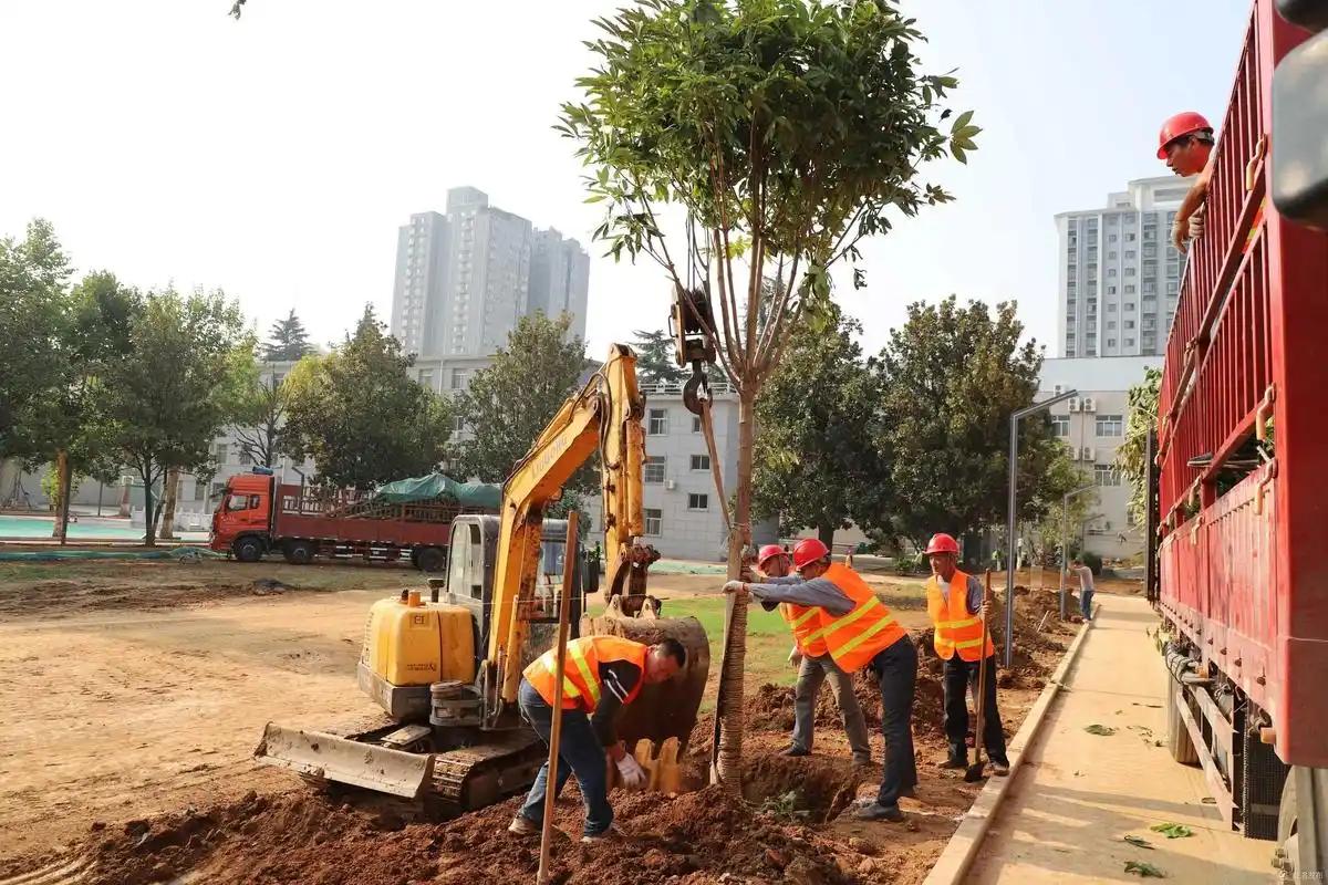 河南许昌：总投资 978 万元，对魏文路（天宝路～前进路）进行绿化提升改造，路线