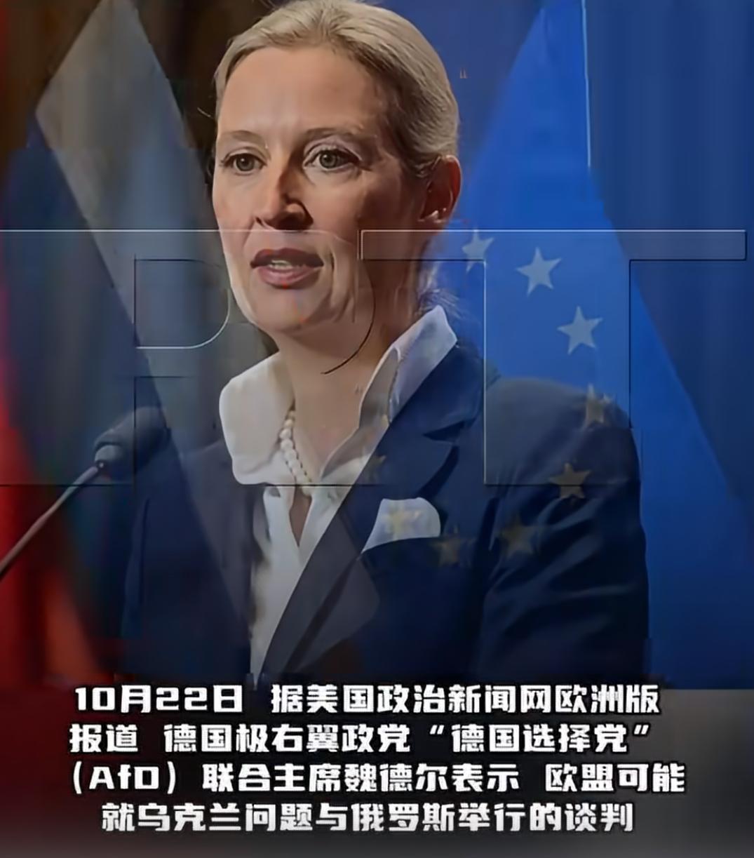 10月22日，美国政治新闻网欧洲版报道，德国选择党联合主席魏德尔就欧盟与俄罗斯谈
