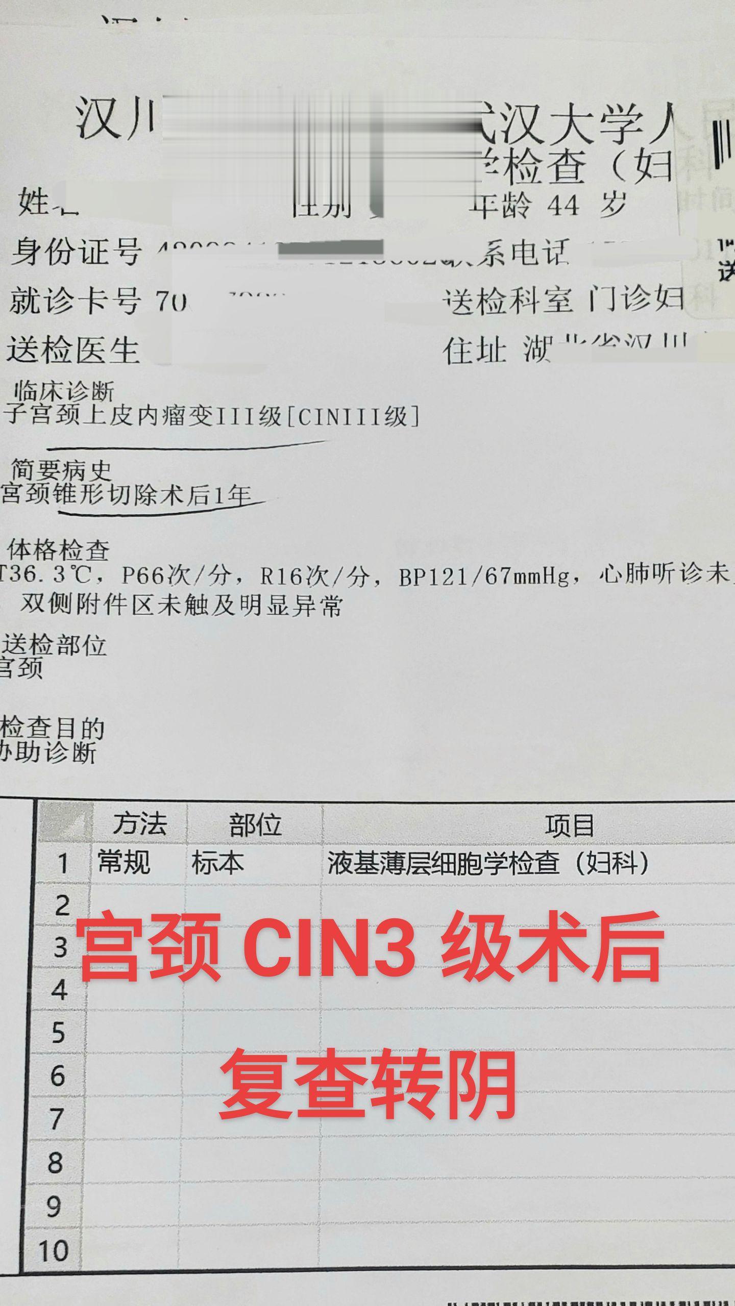 显微镜下的世界 
宫颈cin