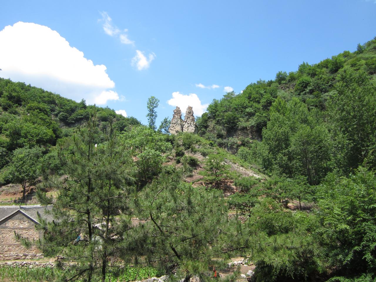 小鹰对波斯猫咄咄逼人，更是各种威胁，逼得波斯猫决定如果局势进一步升级，就可能要切