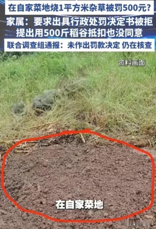 河南一女子，身患重病，只能在家修养，为省点买菜钱，就在自家菜地种菜自给自足。谁承