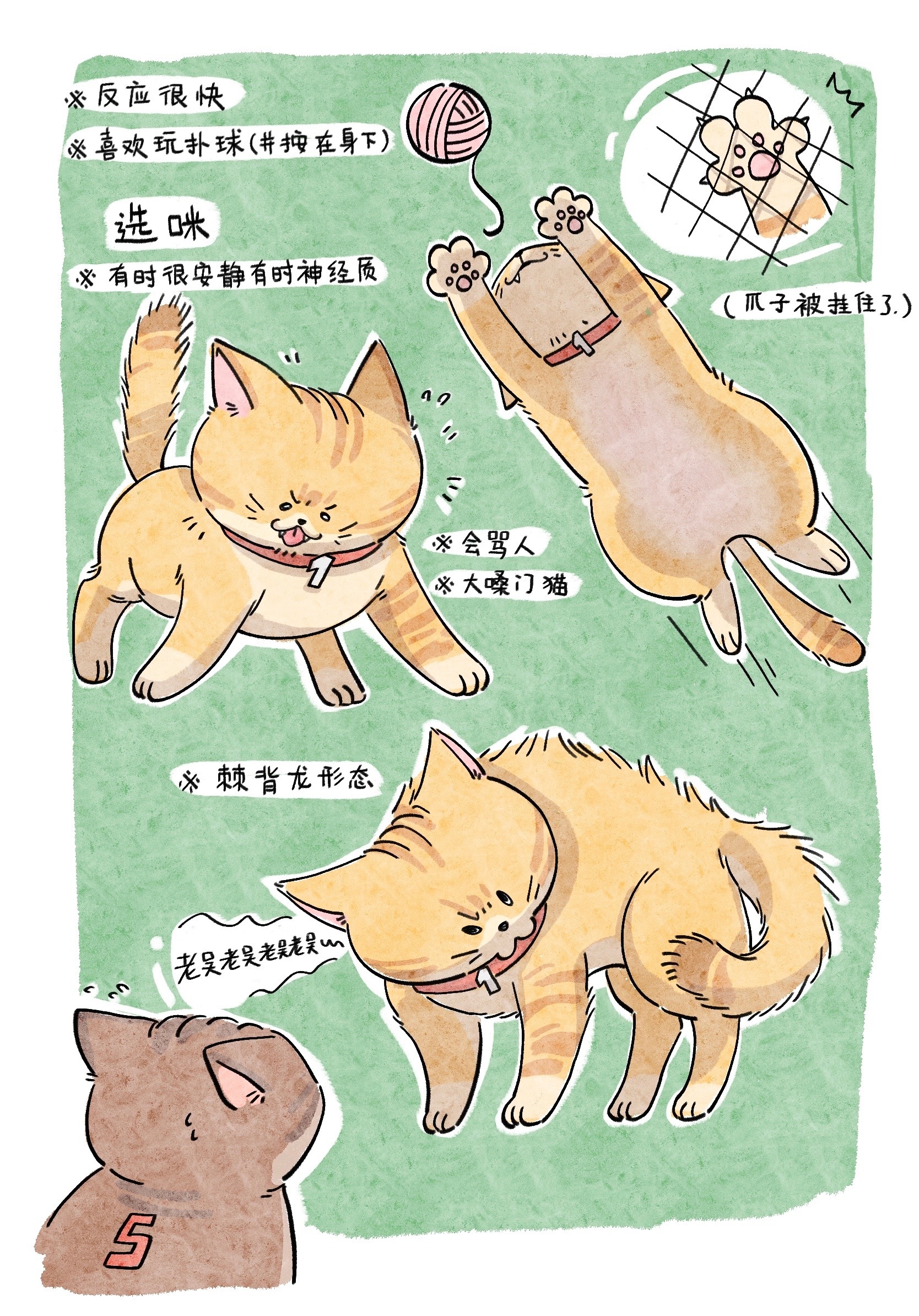 13457【🍬】依旧全员猫形态，cp向只有砍米 