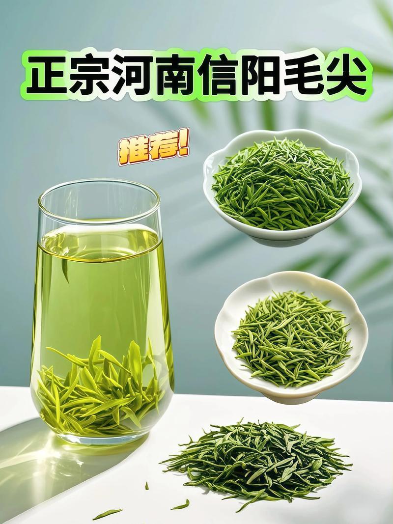 我深爱一种茶叫信阳毛尖
       它在绿茶里那可是拔尖的。我头一回喝，就被它