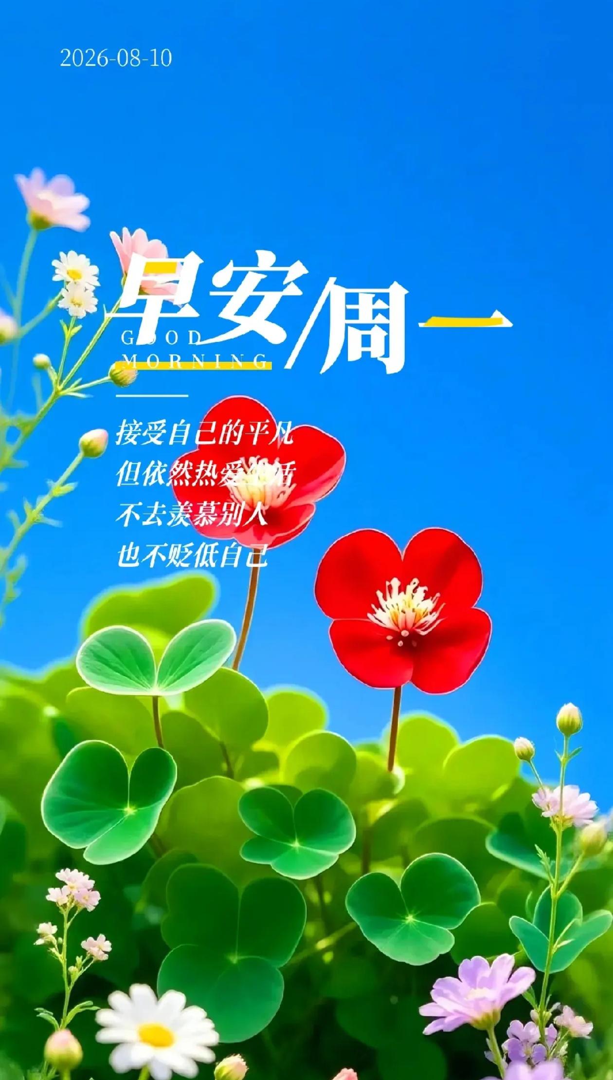 秋晨寄语，曙光临旷野，秋染满山川，晓色启新周。
2026./08.10.
[微风