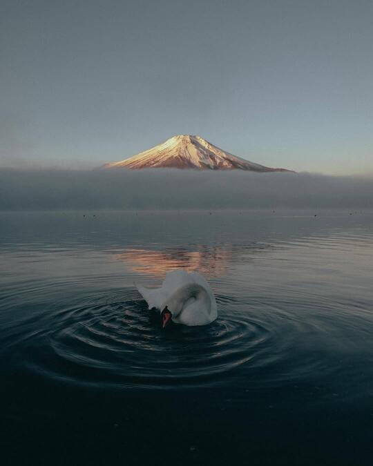 各个角度的富士山你最喜欢那一张