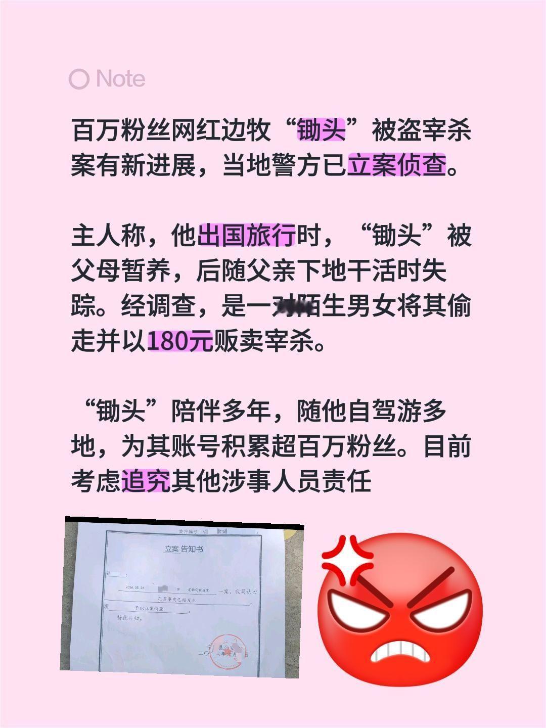 网红边牧“锄头”被盗宰杀立案！百万粉丝网红边牧“锄头”被盗宰杀案有新进展，当地警