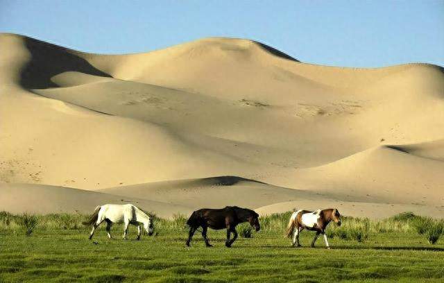一场没有硝烟的“沙尘战争”：蒙古国生态崩溃已威胁中国北方安全