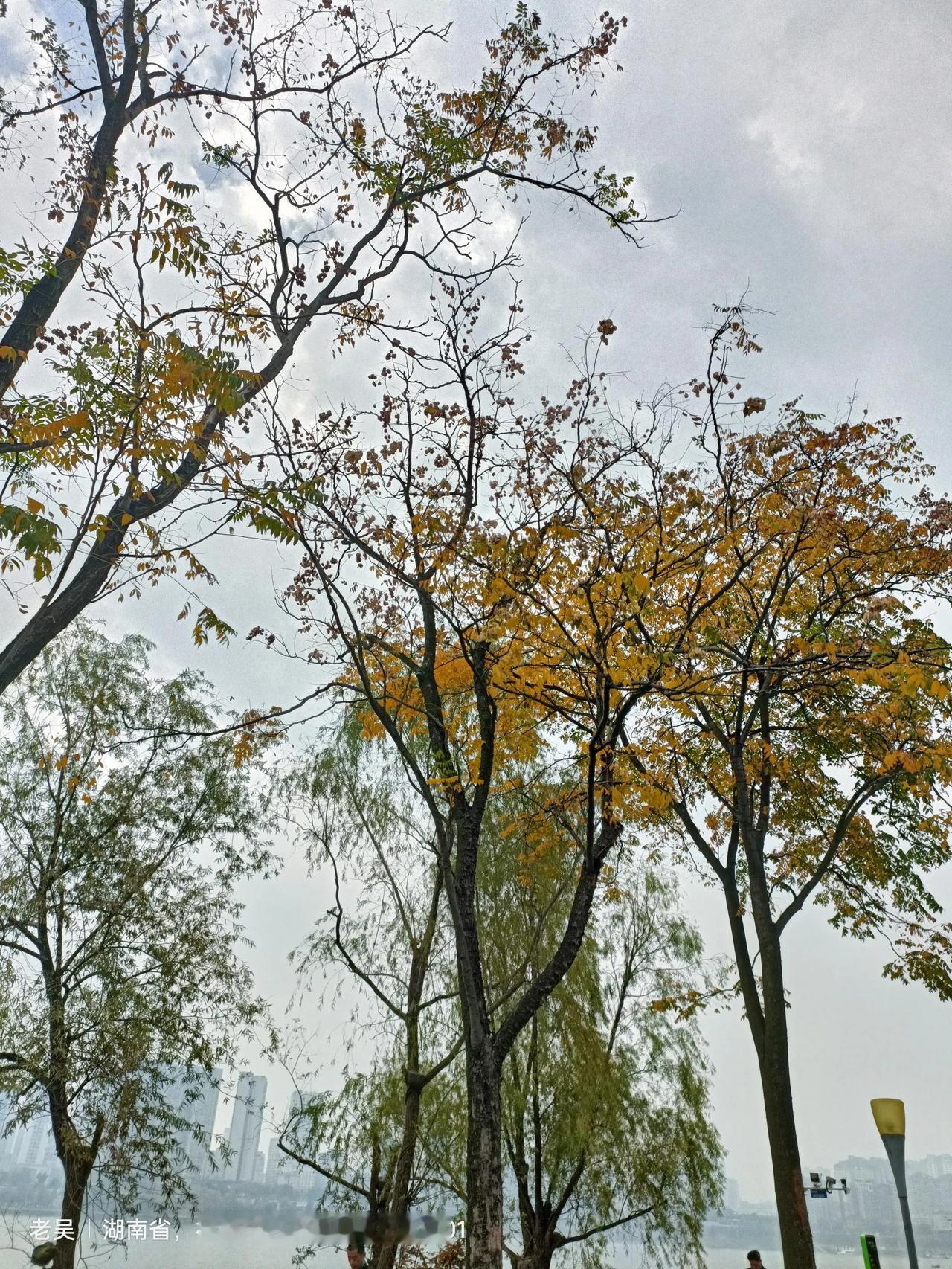 到株洲了,株洲有什么好玩的地方?骑车看风景.湘江风光带