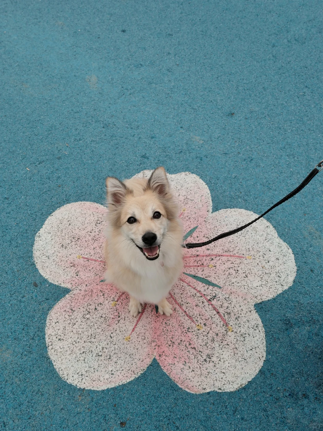 周末来啦 🌸 送ee一朵小花花