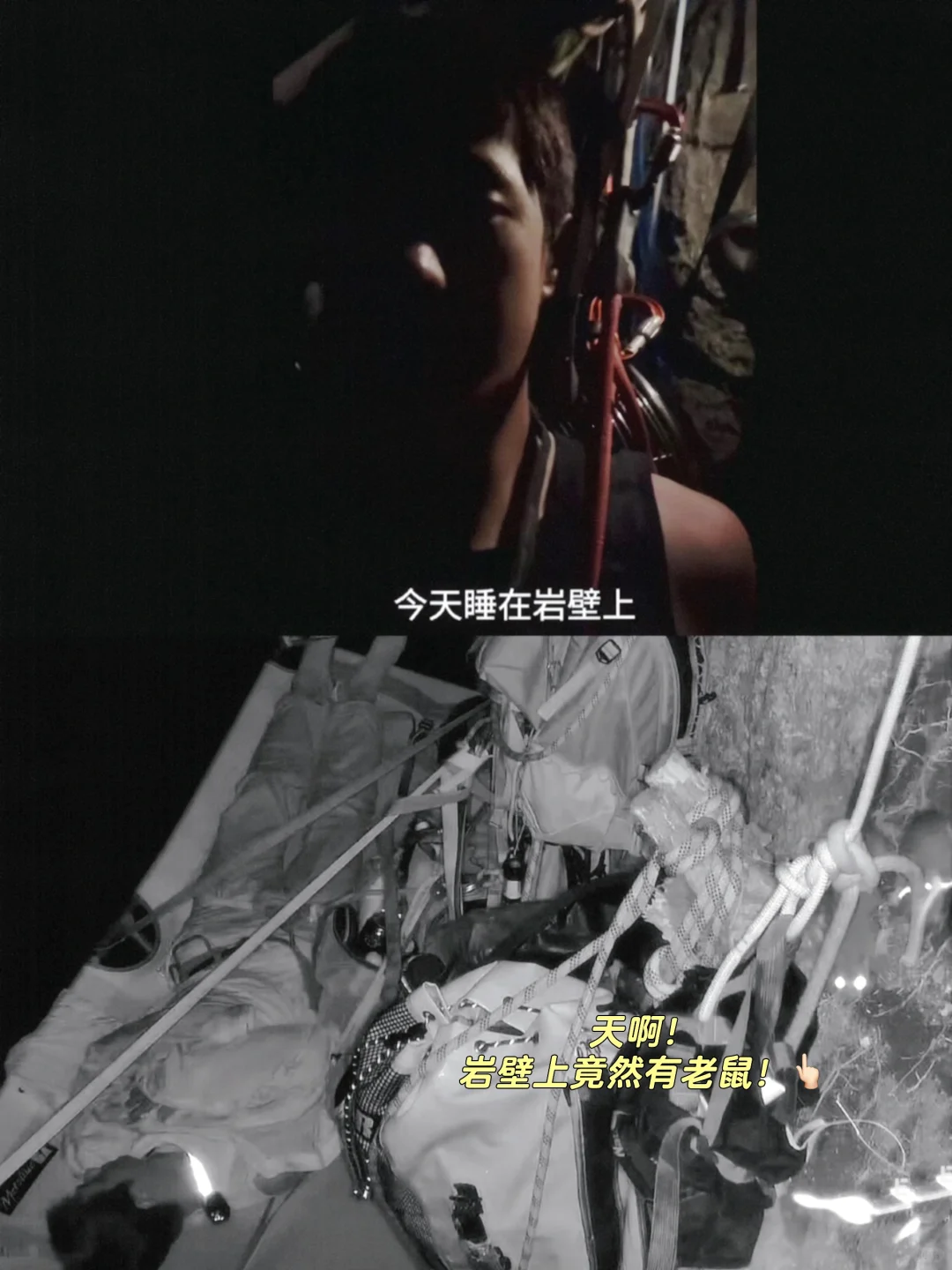 震惊！看完节目发现，原来王一博粉丝吃超好！