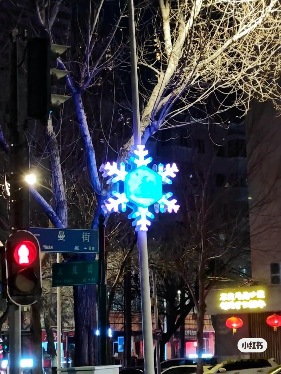 专门等到雪花路灯变成绿色才拍的小狗 如何呢？ 