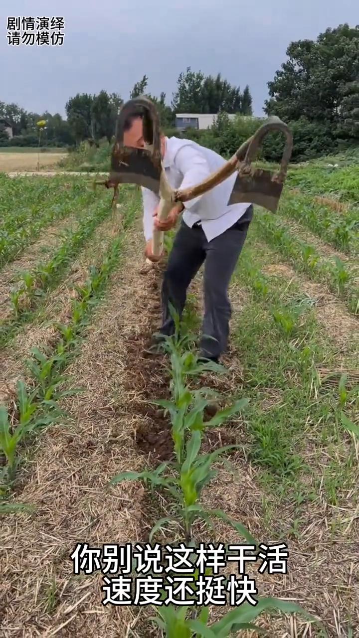 男子拿着一把带两个锄头的农具，这一幕真的太有才了。
男子来到地里除杂草，只见他做