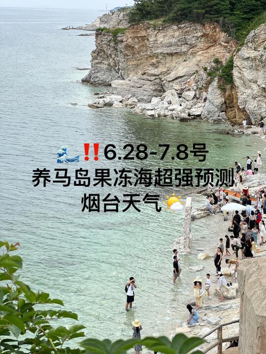 📍6.28-7.8号烟台养马岛果冻海超强预测