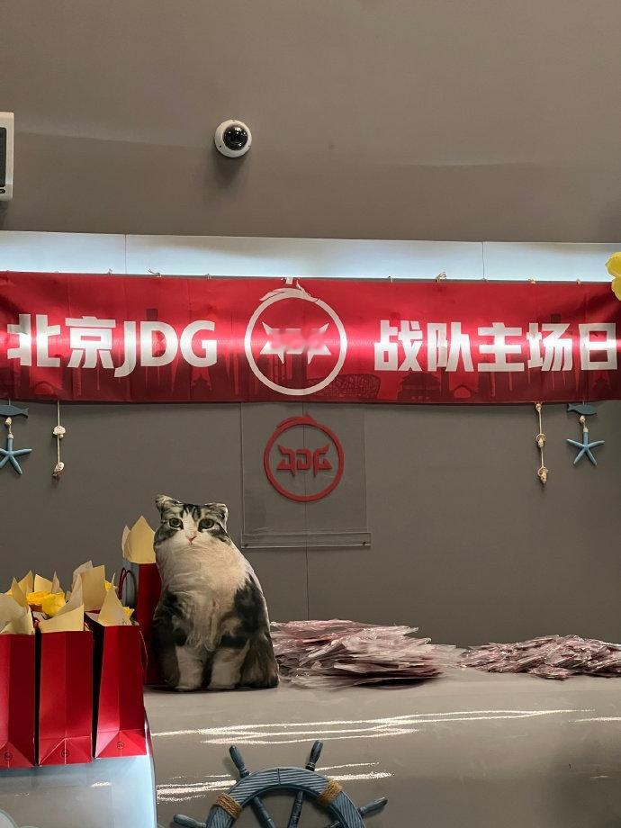 天杀的，开庭的时候带着你的抱枕！[淡淡的]#tkl对战jdg##2024kpl夏