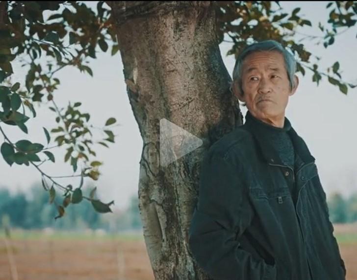 《陈翔六点半》“妹爷”扮演者去世

        即日，《陈翔六点半》官方发文