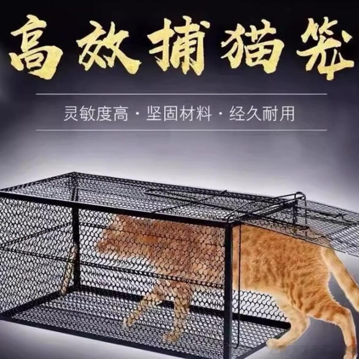 停止这场闹剧吧↓ 